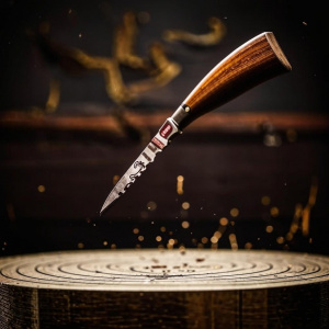 Чемпионат и первенство России по спортивному метанию ножа