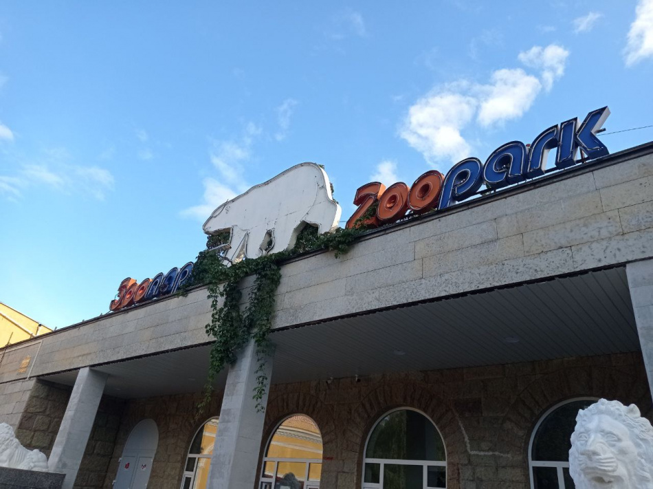 В Петербурге могут запустить "Подорожник" с изображениями подопечных городского зоопарка