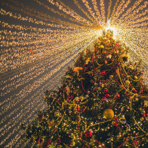 Шоу "Хроники чудес"