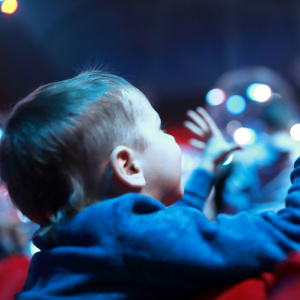 Спектакль "Муха-цокотуха"