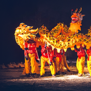 Шоу "Новогодняя китайская феерия"