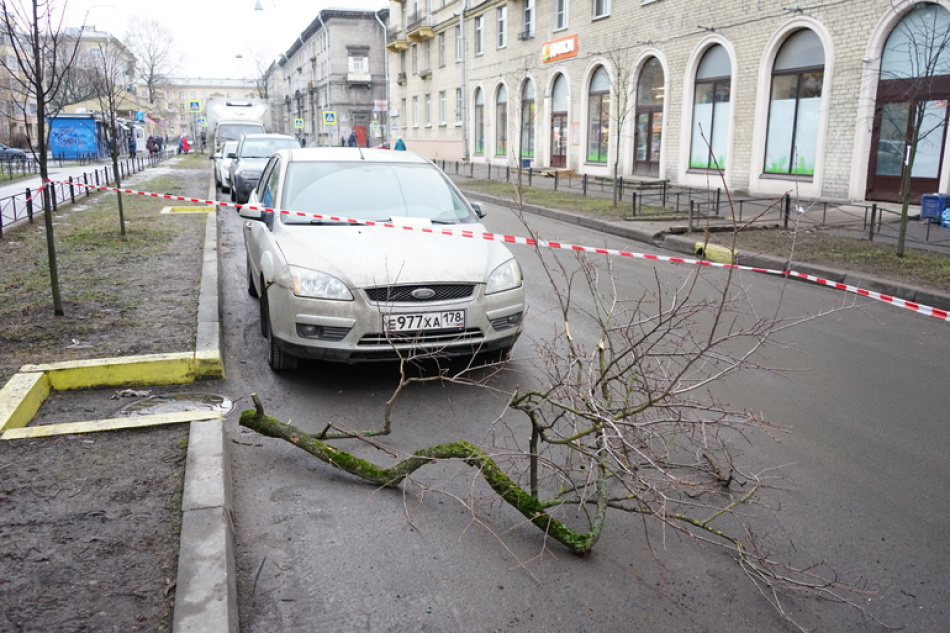 В Петербурге ночью спасатели устраняли последствия непогоды