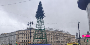 Новогодняя елка появилась на Площади Восстания в Петербурге