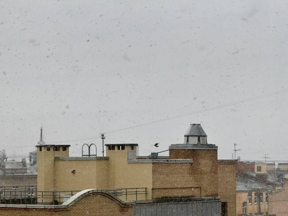 Петербург заметает снегом