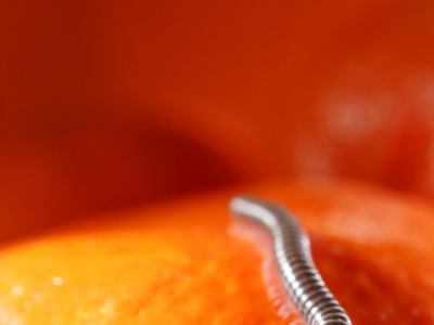 Фото Тематический день в зоопарке Подземный мир Фото Тематический день в зоопарке Подземный мир