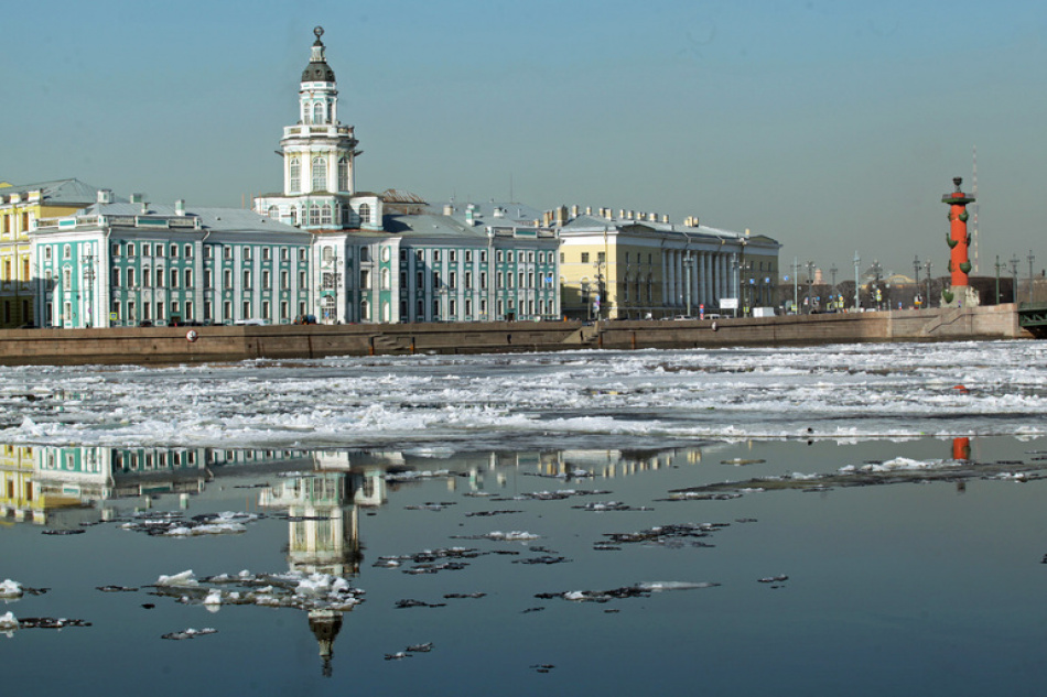 Вход в Кунсткамеру стал бесплатным на один день