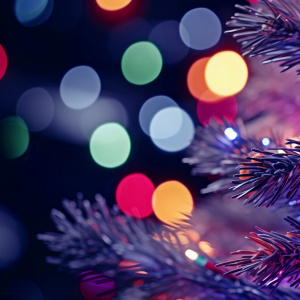 Новогодяя ночь "Рай! Новый год в кругу змеи"