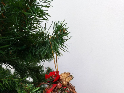 Фото Новогодний квартирник ансамблем Gosling Girls