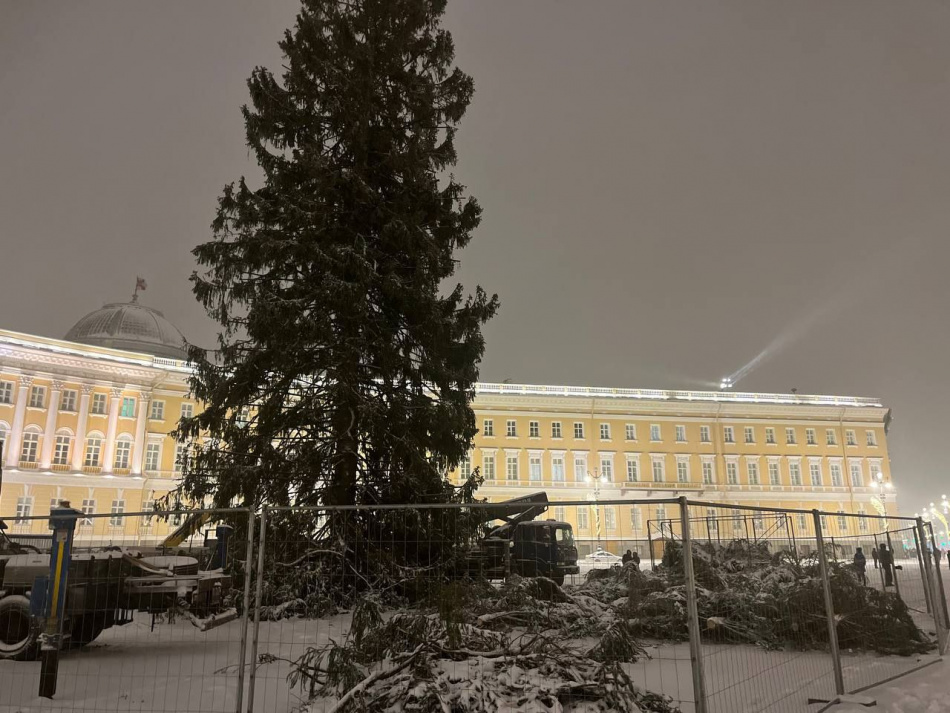 На главной новогодней ёлке Петербурга зажглись первые огоньки