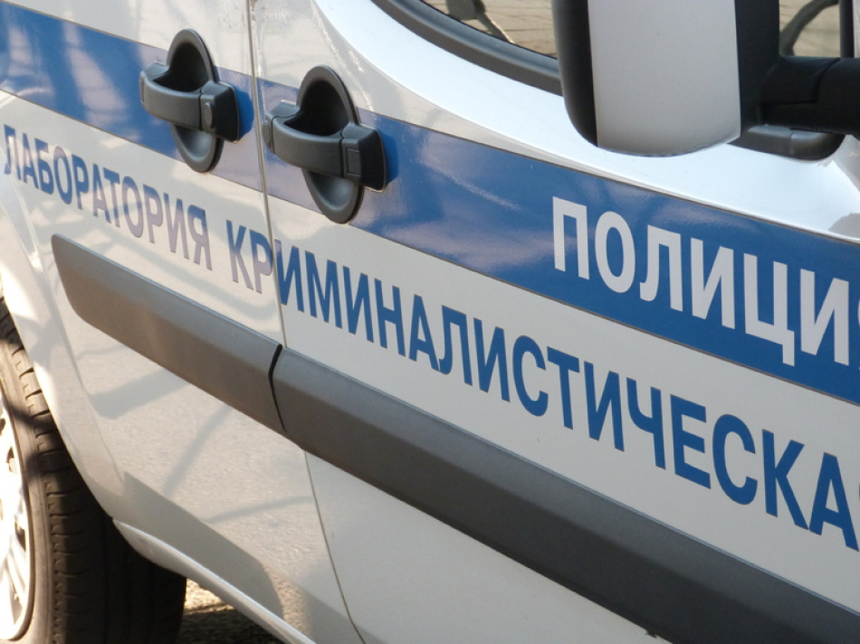 В Курортном районе сотрудники Росгвардии задержали мужчину, который незаконно срубил 84 ёлки