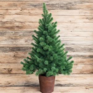 Вечеринка "Новый год!" в ресторане Магадан