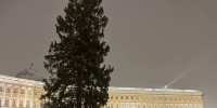 На главной новогодней ёлке Петербурга зажглись первые огоньки На главной новогодней ёлке Петербурга зажглись первые огоньки