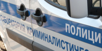 В Курортном районе сотрудники Росгвардии задержали мужчину, который незаконно срубил 84 ёлки