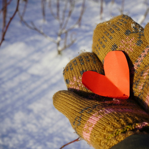 Интерактивная программа "Рукавичка Деда Мороза"