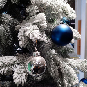 Зимний бал в Екатерининском собрании 2024/2025