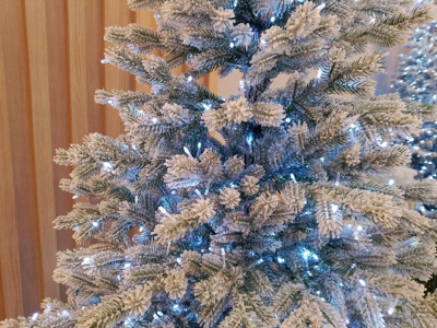 Фото Инсталляция Пять минут до столетия