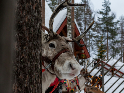 Фото Интерактивное занятие Кругосветный Дед Мороз
