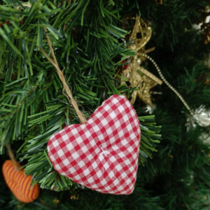 Рождественский концерт 2025