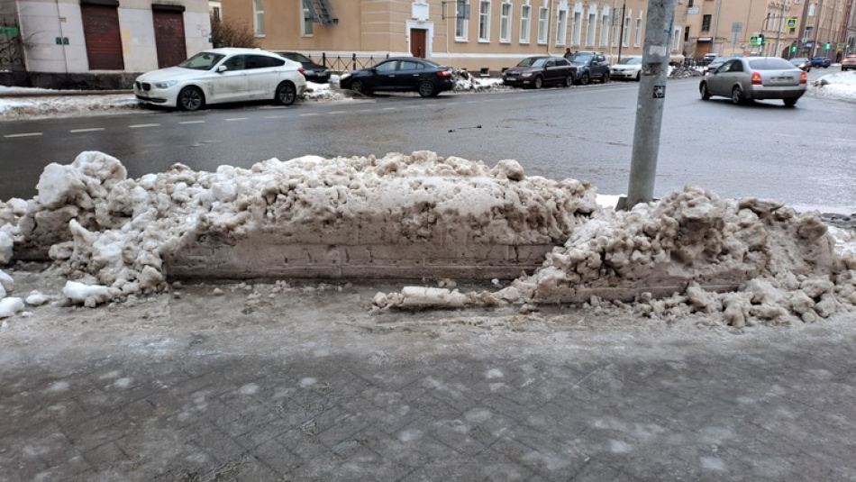 Оттепель окончательно "убила" снежный покров в Петербурге