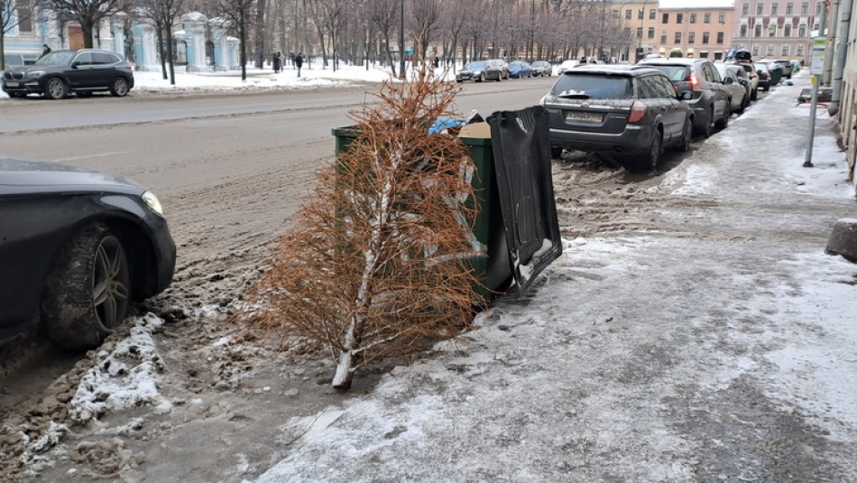 Груду выброшенных елок нашли в поле у Бугров