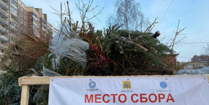 Куда в Петербурге сдать ёлку после новогодних праздников с пользой для животных и экологии Куда в Петербурге сдать ёлку после новогодних праздников с пользой для животных и экологии