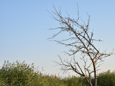 Фото Интерактивное занятие Форма неба Фото Интерактивное занятие Форма неба