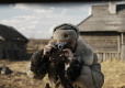 Фото Война и музыка