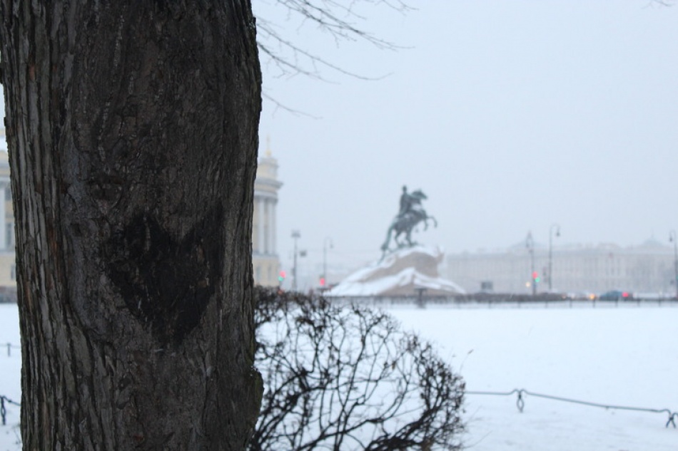 Масленица, концерт Ёлки и «Аукцыона»: куда пойти в Петербурге 24 февраля — 2 марта