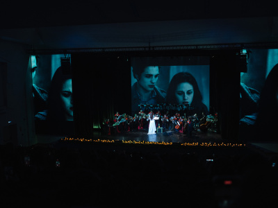 Фото Концерт Nella Musica Orchestra Сумерки. Сага. Симфомультимедия