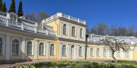 Петербург встречает Навруз концертами и выставками Петербург встречает Навруз концертами и выставками