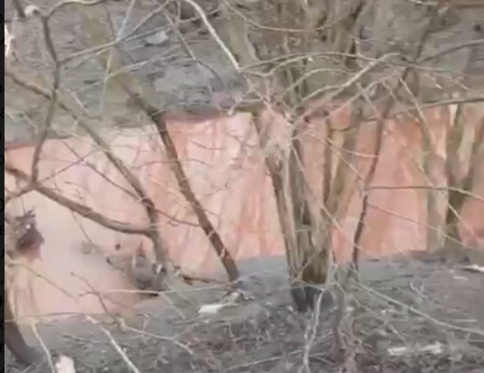 Мурзинку окрасили в красный сточные воды с резким химическим запахом