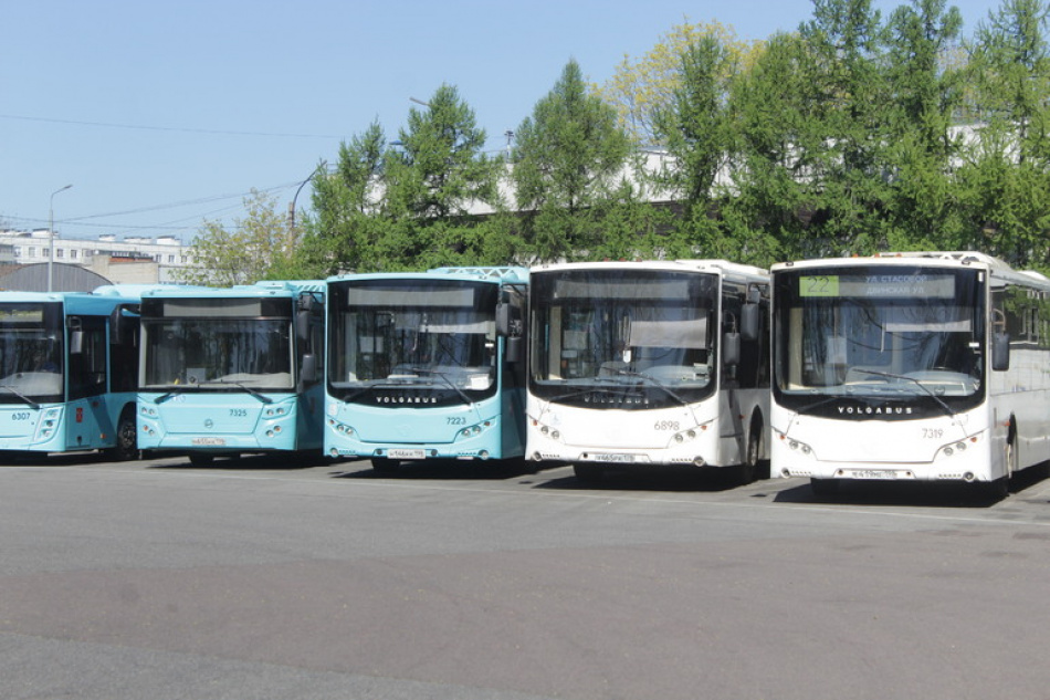 В Петербурге планируют расширить автобусную сеть до 539 маршрутов
