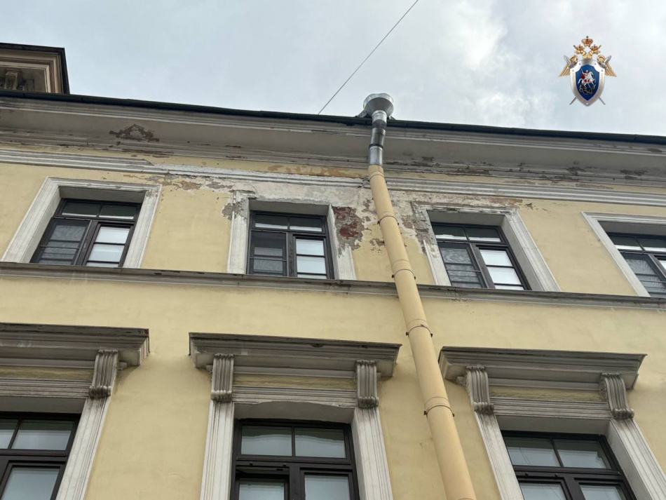 В Петербурге возбудили уголовное дело после падения облицовки на ребенка в детском саду