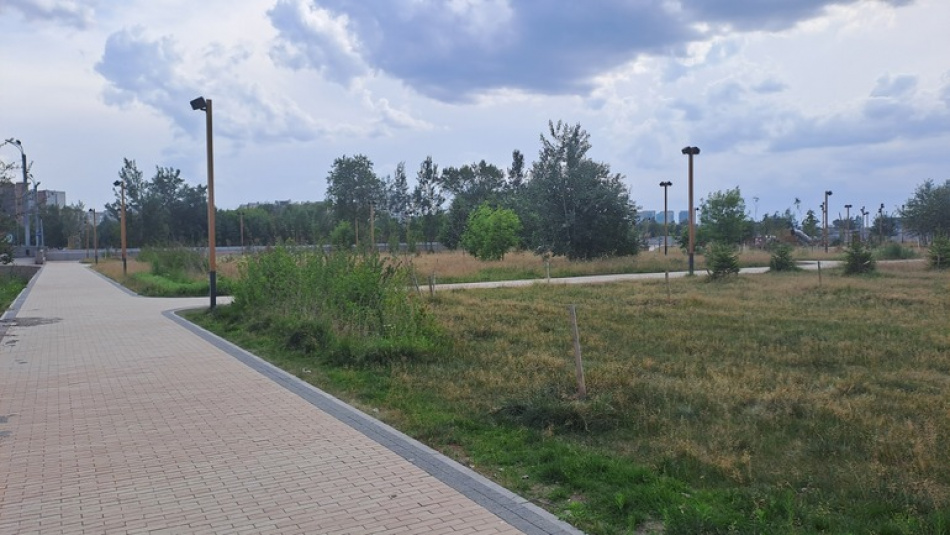 Активисты Петербурга добились для Парка Академика Сахарова временного статуса ОКН