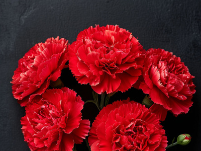 Фото Патриотический праздник Вечной памятью живы