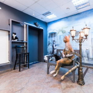 Ночь музеев 2025 в Республике котов