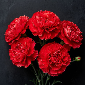 Всероссийский проект "«Музыка Героев» Танцплощадка Победы"