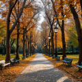 Александрия