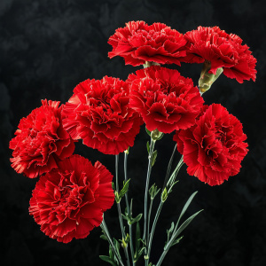 Празднование Дня Победы 2025 в крепости Орешек