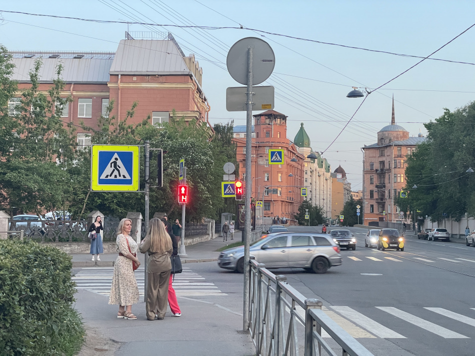 Петербурженку арестовали за сбитых на Рубинштейна пешеходов
