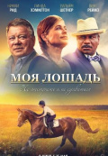 Моя лошадь