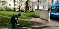 Из Колпино вывезли 150 кг химических отходов Из Колпино вывезли 150 кг химических отходов
