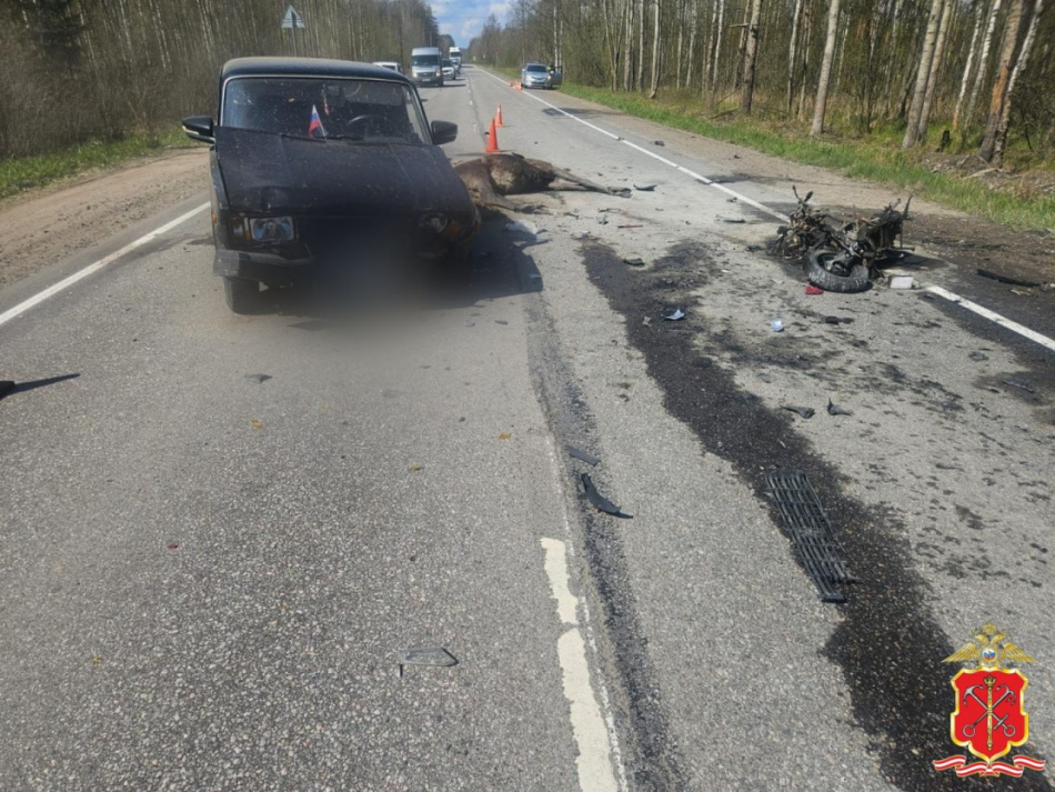 Задержан водитель, сбивший пользователя скутера в смертельном ДТП под Всеволожском