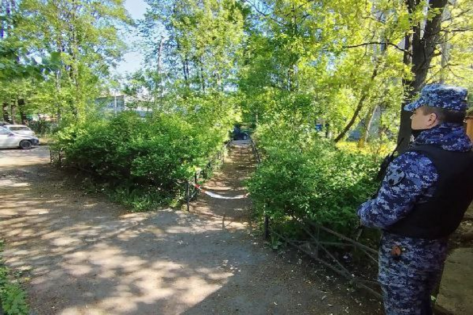 Лося заметили у детского сада и вернули в естественную среду