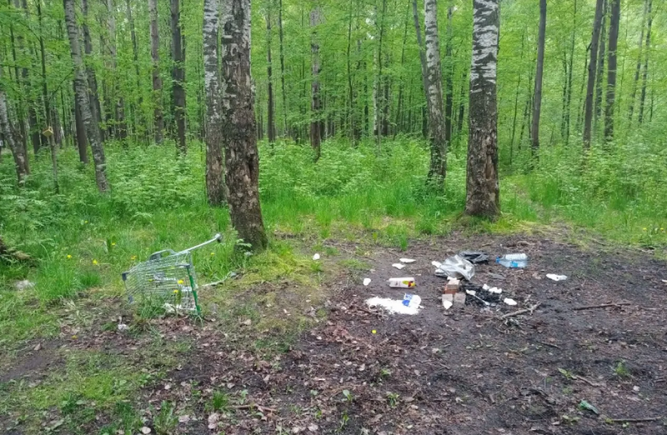 В Ленинградской области продолжают находить военные артефакты времен войны