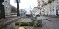 Число пострадавших от сильного ветра в Петербурге увеличилось до пяти