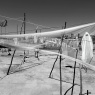 Фото Фотовыставка Ромы Зверя Привиделось