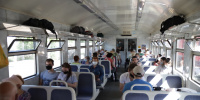 За полгода пассажиропоток электричек в Петербурге вырос на 24%