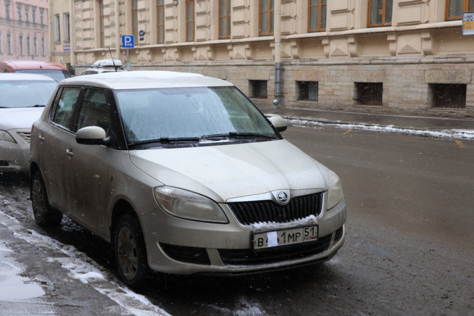 В Петербурге на платных парковках обнаружили почти 9000 машин без госномеров