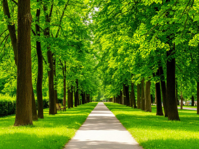 Фото Summer Music Park: Ganenko Band Мировые рок-хиты